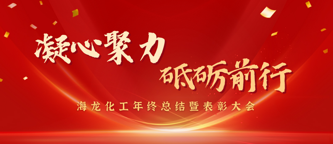 表彰 | 凝心聚力，砥礪前行，海龍化工年終總結(jié)暨表彰大會圓滿舉行